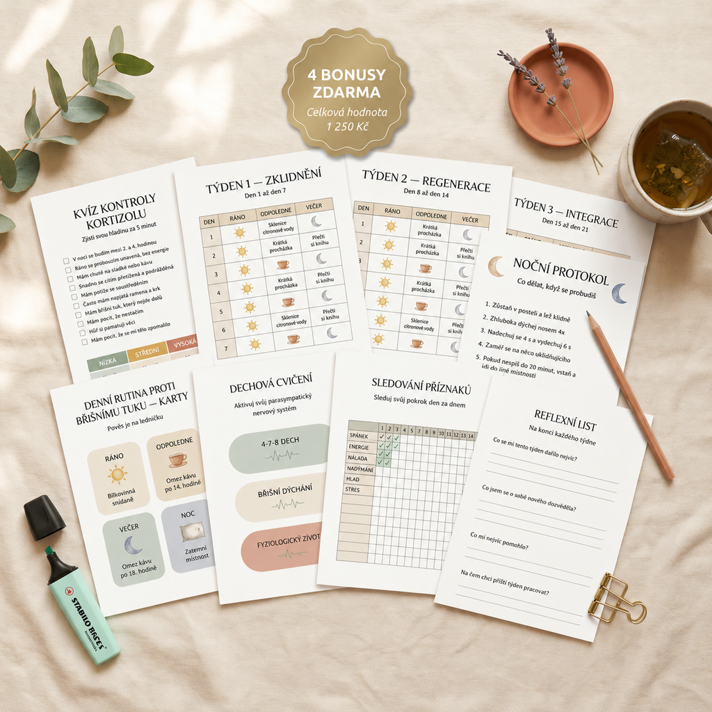 Protocole de reset du cortisol en 21 jours - Guide & cahier d'exercices