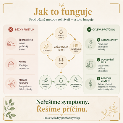 21denní protokol lymfatické drenáže - Příručka a pracovní sešit